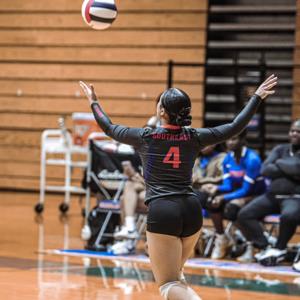 Jocelyn Diaz mugshot