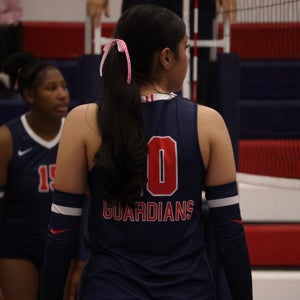 Cinthia Diaz mugshot