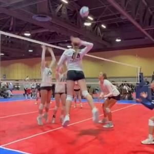 Addison Stegenga