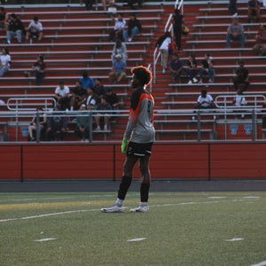 Rolensky Marc mugshot