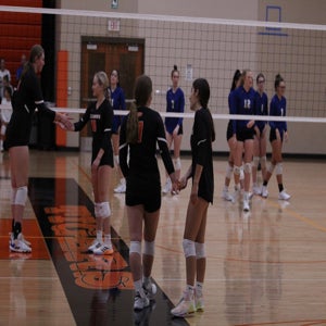 Michelyn Hansen mugshot