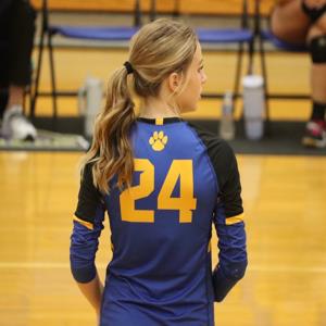 Addie Willis