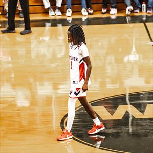 Amarise Idlett mugshot