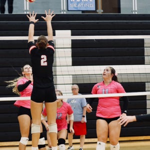 Cassie Ellegood mugshot