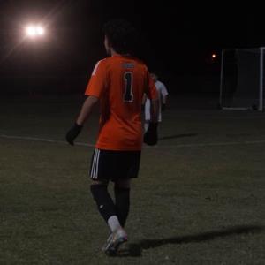 Wilmer Flores mugshot