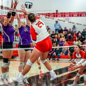 Sydney Robinson mugshot