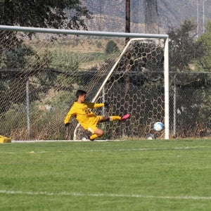 Jeff Torres