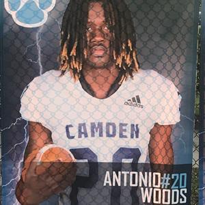Antonio Woods