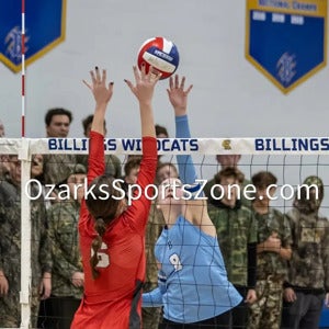 Kerri Borghardt mugshot