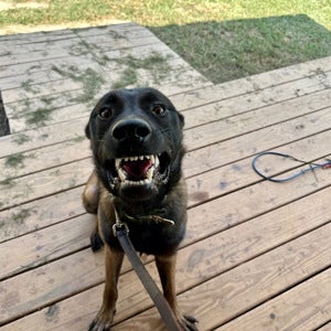 Elijah Darby mugshot