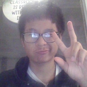 Elkupsoe Bee mugshot