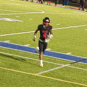 Rayshawn Robinson