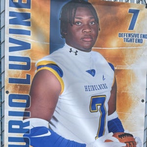 Maurio Luvine mugshot