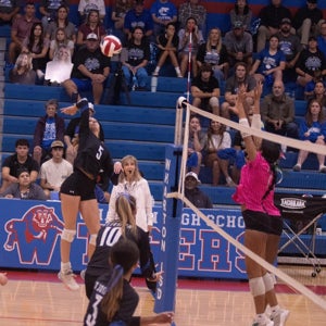 Jordyn Johnston mugshot