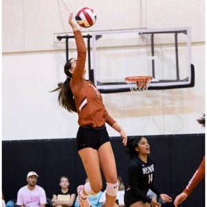 Julia Hopkins mugshot