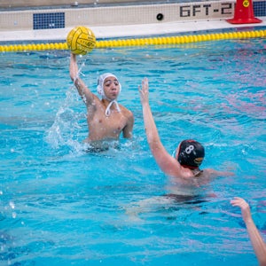 Rebin Tohidi mugshot