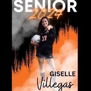 Giselle Villegas mugshot