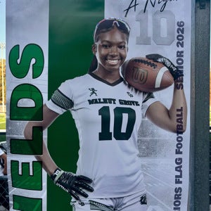 A'Niyah Fields mugshot