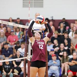 Chyler Graves mugshot