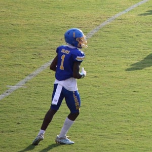 Julius Bradley