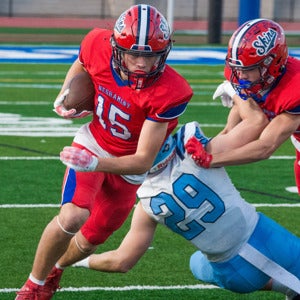 Mike Sassano mugshot