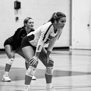 Gretchen Daniel mugshot