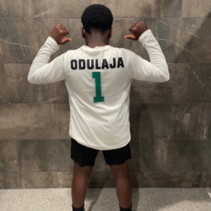 Ola Odulaja