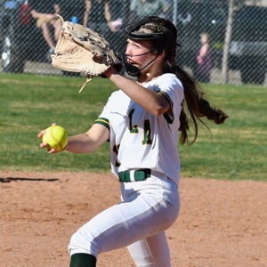 Malaya Haynes mugshot