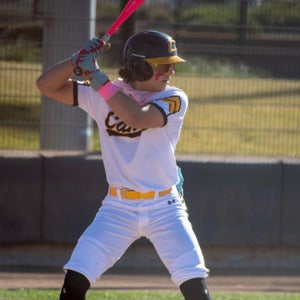 Brandon Alley mugshot