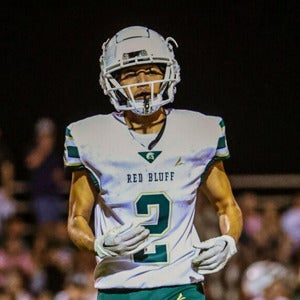 Marco Zepeda mugshot