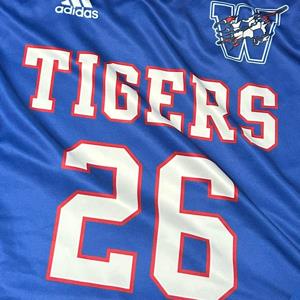 Luis Ibarra Berrones mugshot