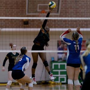 Tamaya Pratt mugshot