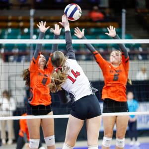 Emma Lemesany mugshot