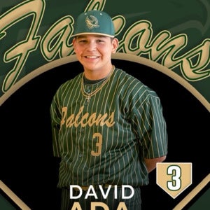 DAVID ADA