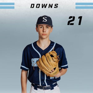 Ledger Downs
