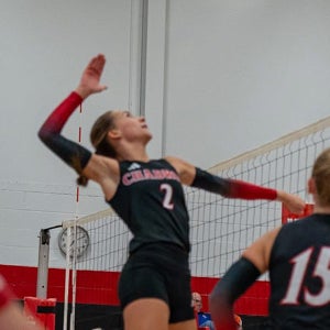 Beau Behrends mugshot