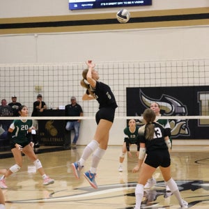 Nasya Anderson mugshot