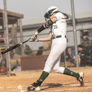 Maisey McCarty mugshot