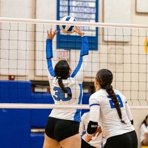 Zatie Venditti mugshot