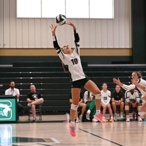 Caroline Hilton mugshot