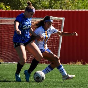 Serena Mendoza mugshot