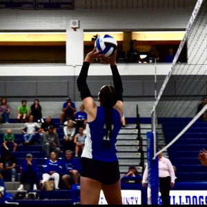 Adrian Profumo mugshot