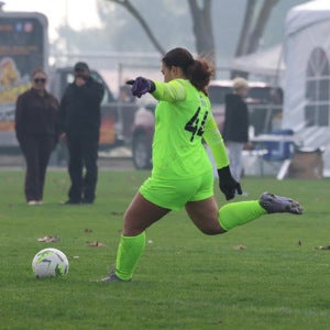 Melanie Adler mugshot