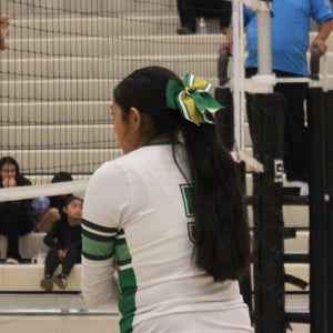 Merari Silva mugshot