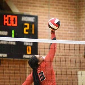 Terrie Thornton mugshot