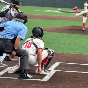 Bernhard Amann mugshot