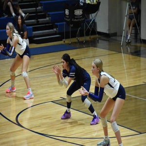 Morgan Brown mugshot