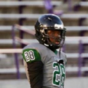 GIO JOHNSON
