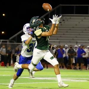 Zavier Flores mugshot