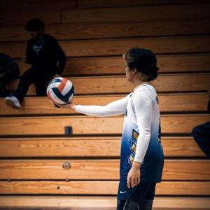 Chauncey Arcangel mugshot